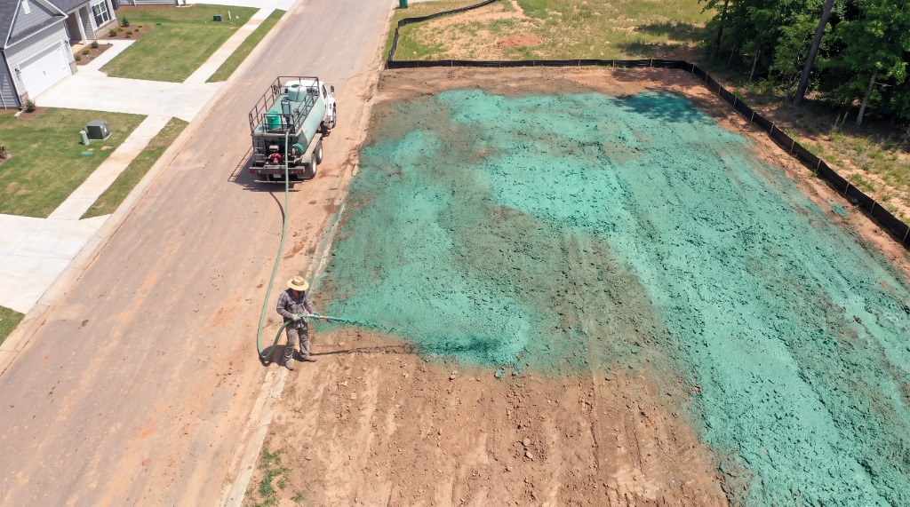 Turf Installation vs. Hydroseed: What Works in St. Pete